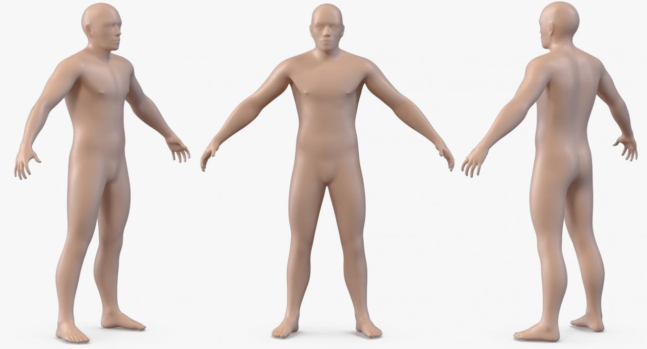 3D model Male Body with Skeleton Rigged