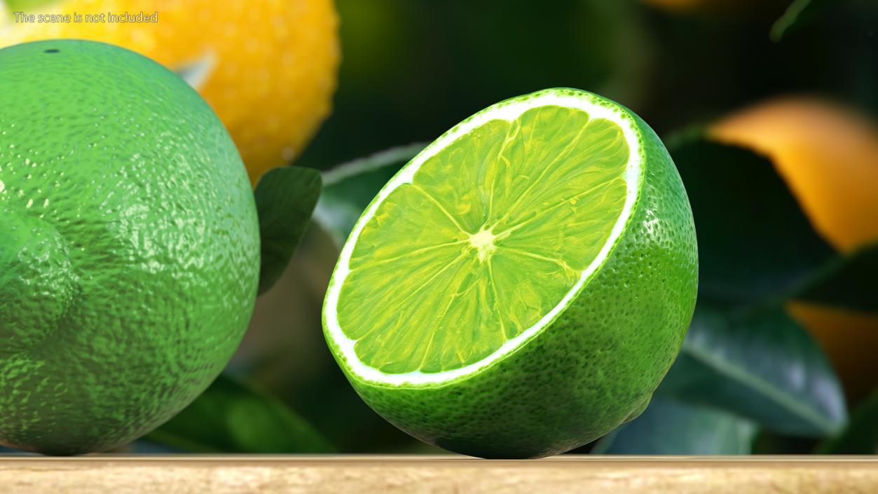 3D Green Lemon Half