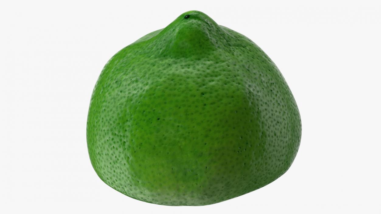 3D Green Lemon Half