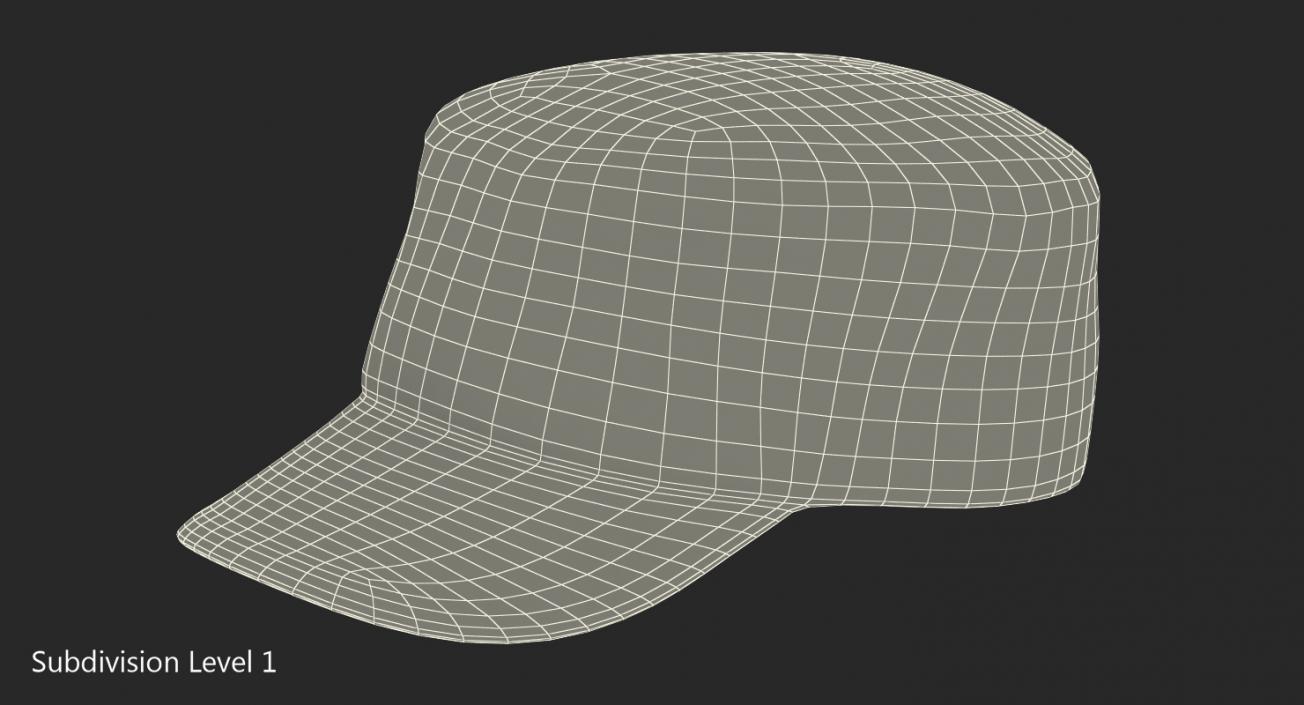 US Army Camouflage Hat 3D