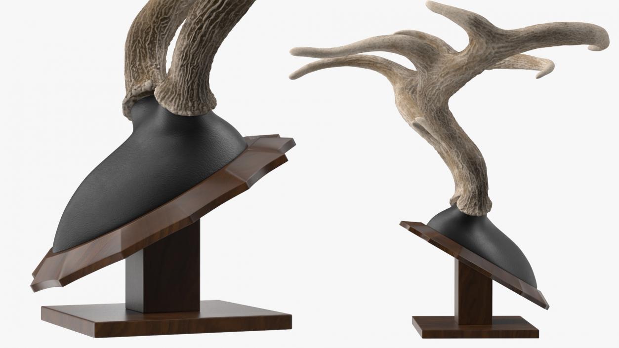 Tabletop Stand with Stag Antlers 3D