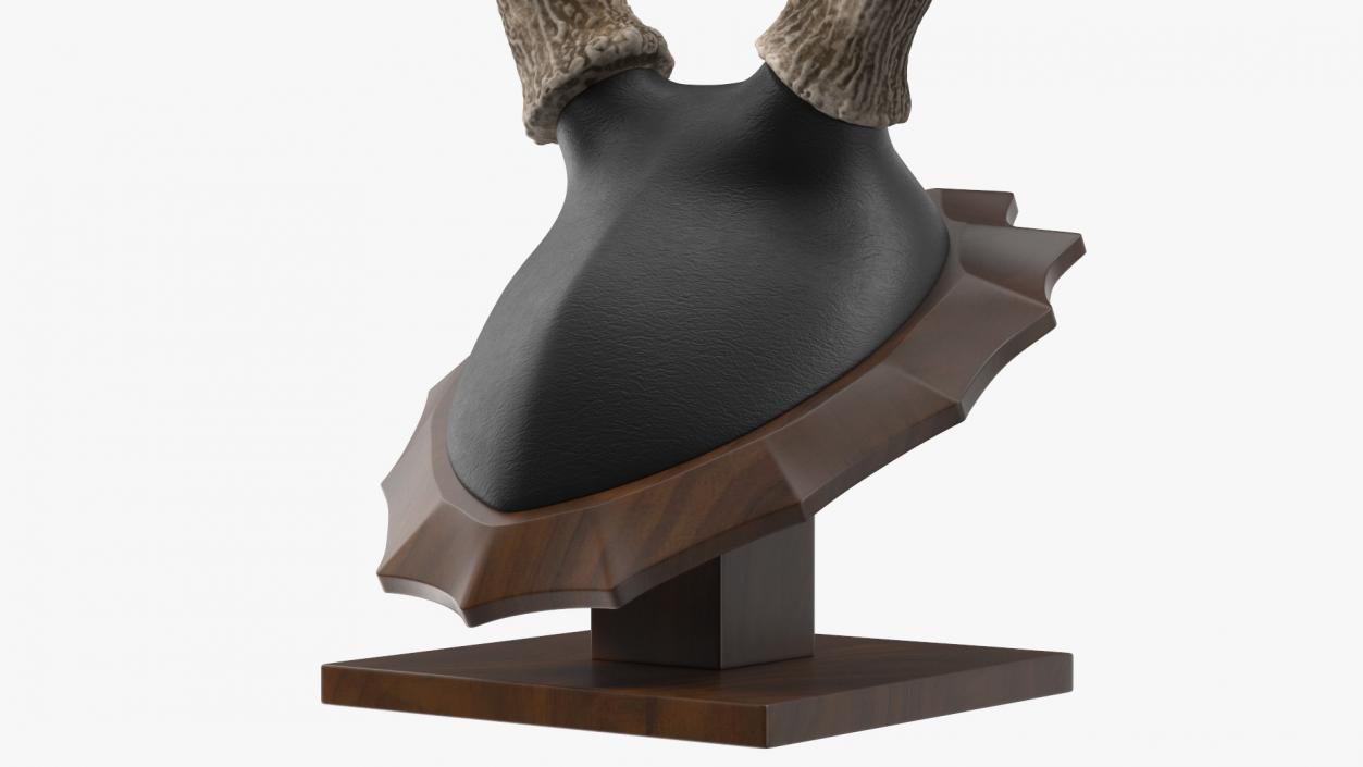 Tabletop Stand with Stag Antlers 3D