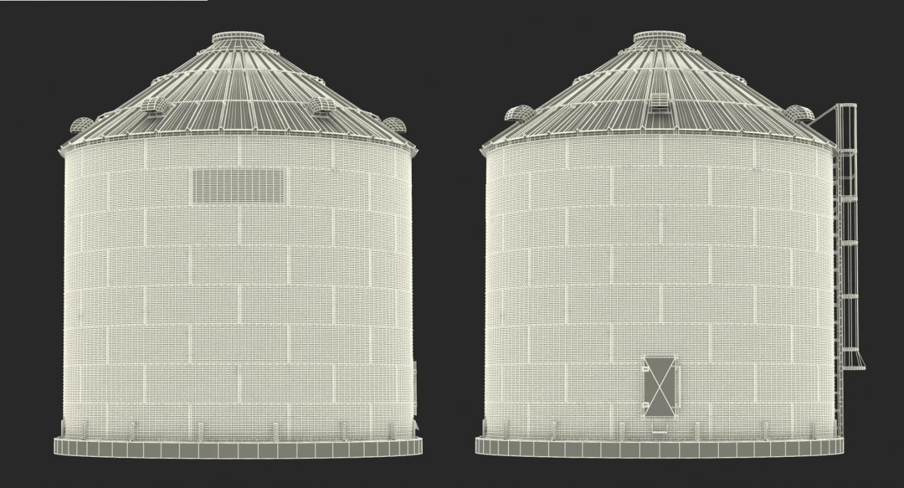 Grain Bin 3D model