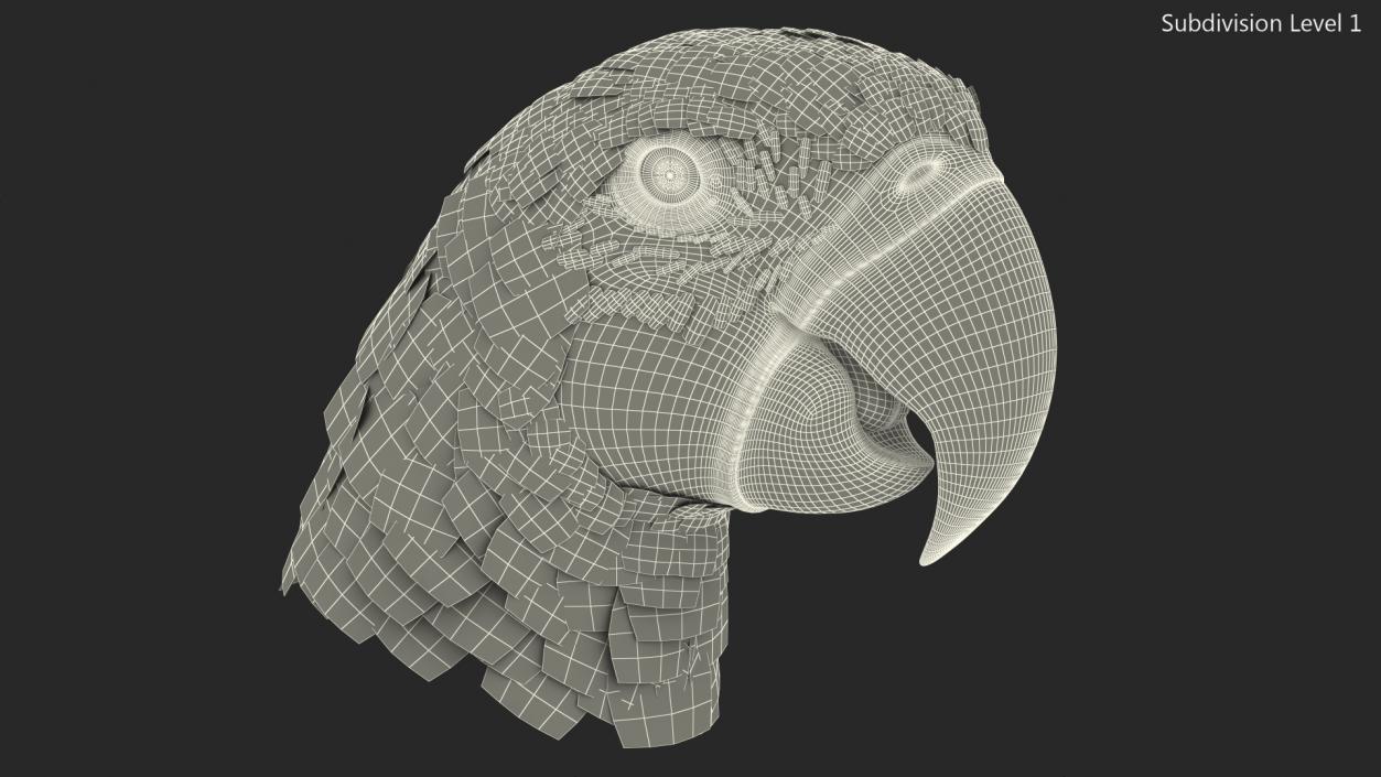 3D Red and Green Macaw Parrot Head