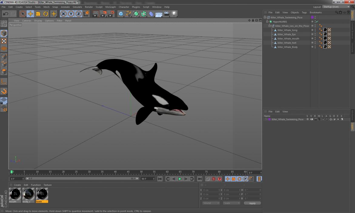 3D Killer Whale Swimming Pose
