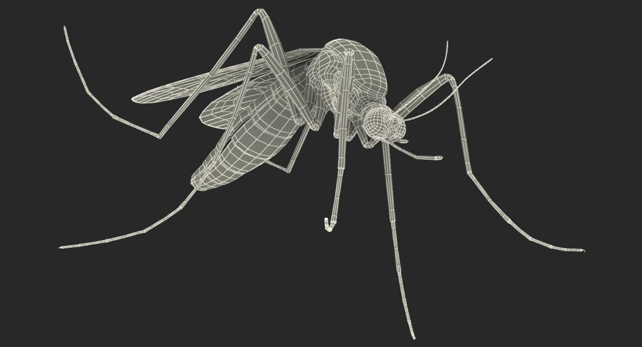 Mosquito Pose 3 with Fur 3D model