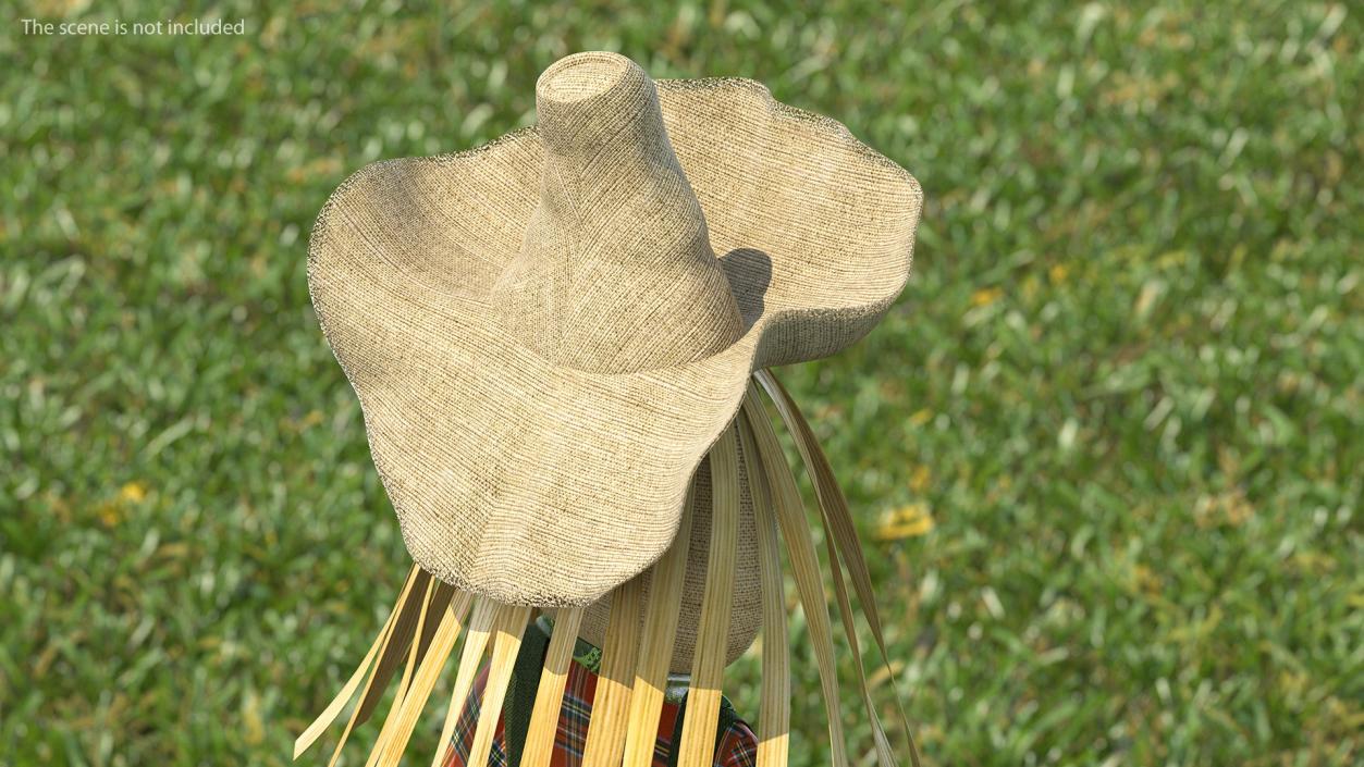 Wide Brim Straw Hat 3D model