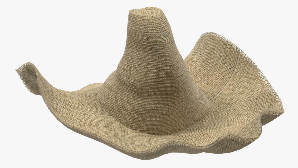 Wide Brim Straw Hat 3D model