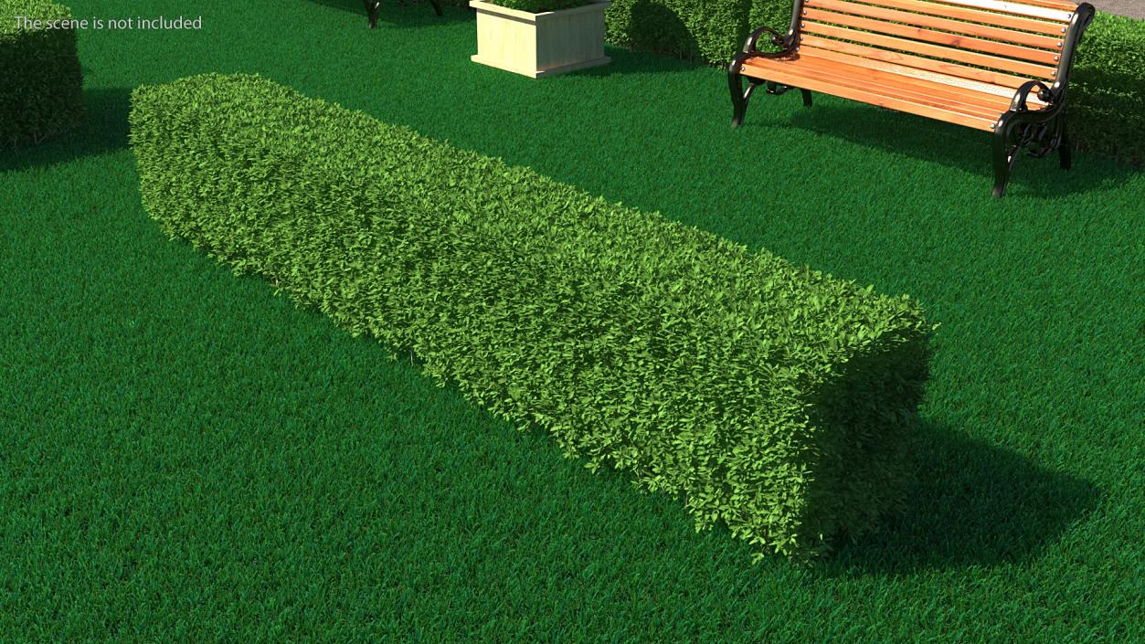 Boxwood Hedge Fence 3D model