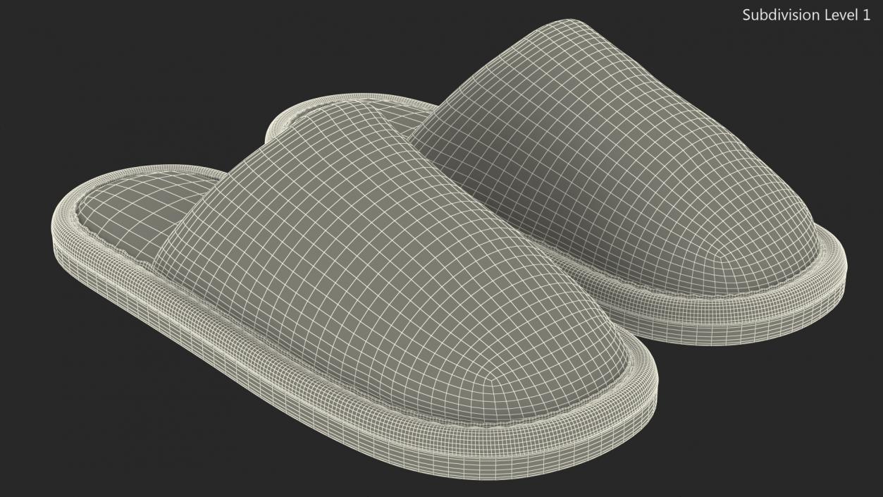 3D Womens Indoor House Slippers model