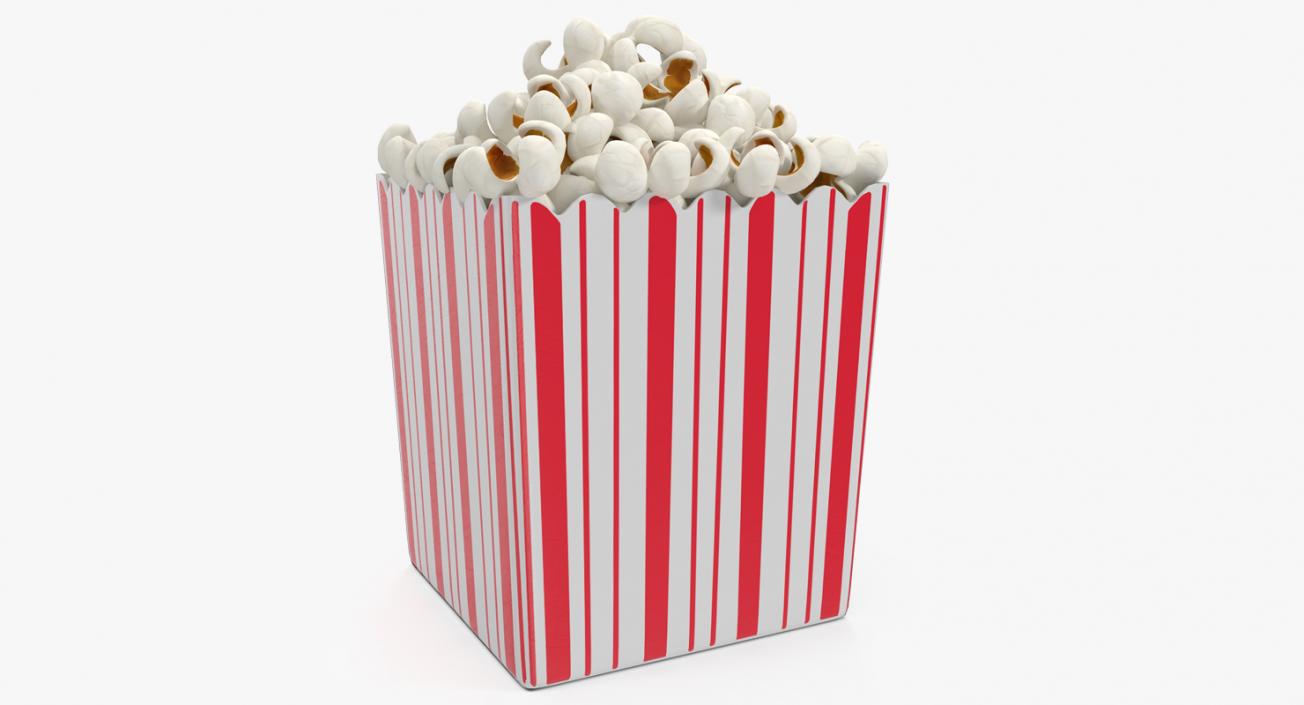 3D Paper Popcorn Container model