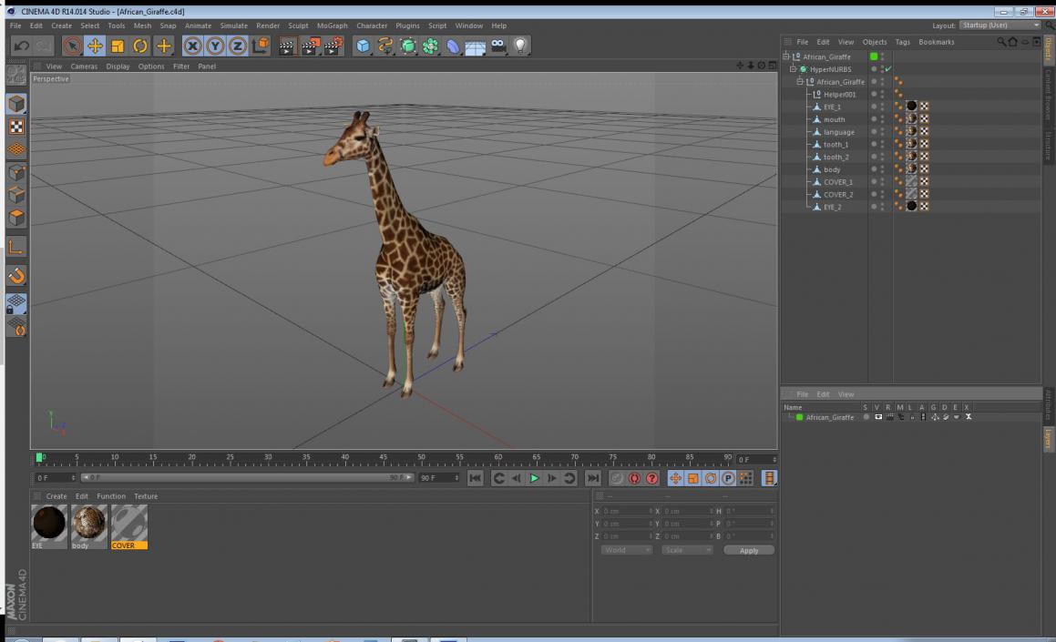 3D model African Giraffe