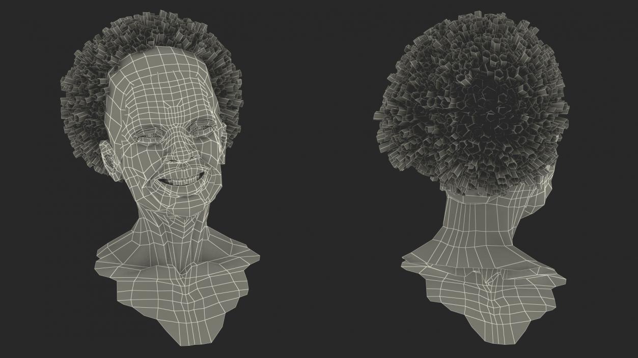 3D model Elderly Afro American Woman Head Smiling