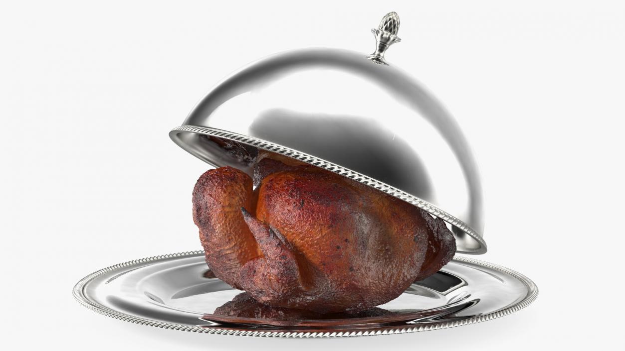 Roasted Turkey in Cloche Cook 3D model