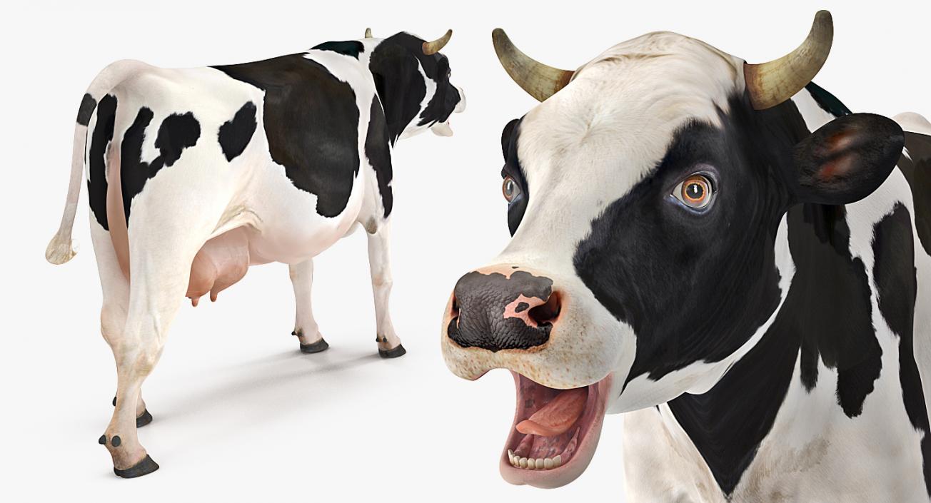 3D Dairy Cow Rigged