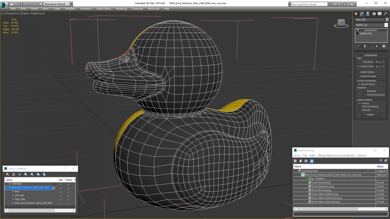 Bath Duck Anatomy Glass Half Shell 3D model