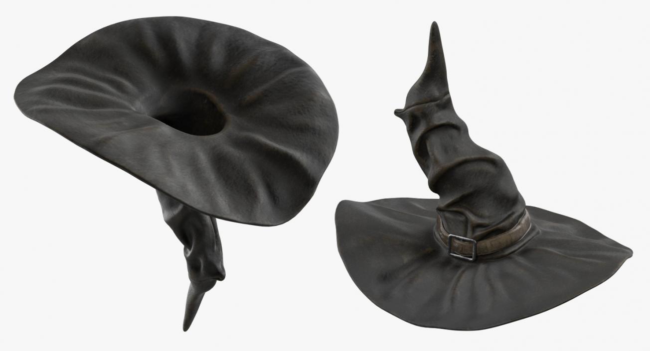 3D Old Witch Hat model