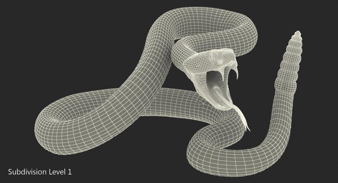 3D Dark Rattlesnake Attack Pose model