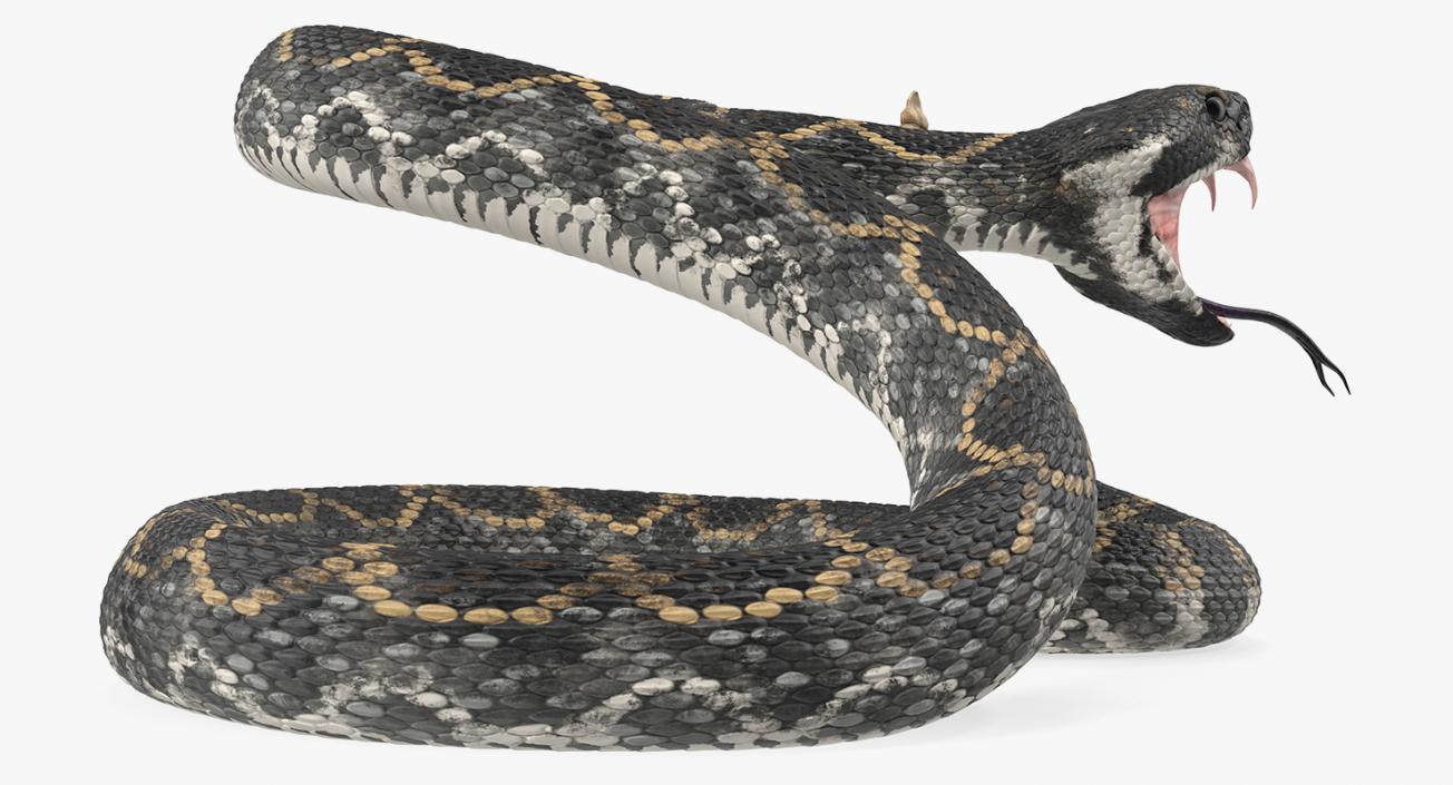 3D Dark Rattlesnake Attack Pose model