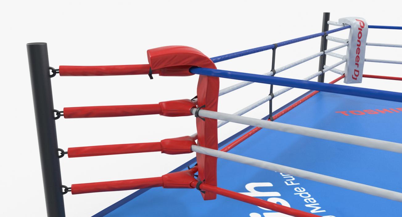 3D Boxing Ring