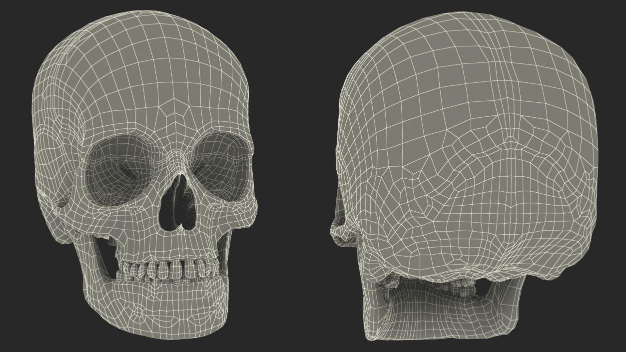 Female Human Skull Gold Metal 3D model