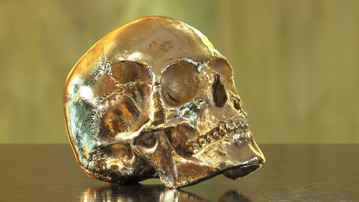 Female Human Skull Gold Metal 3D model