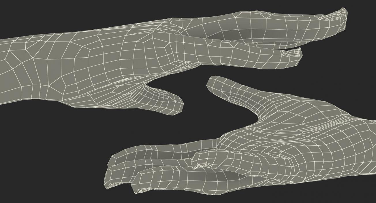 Australoid Female Hand 3D