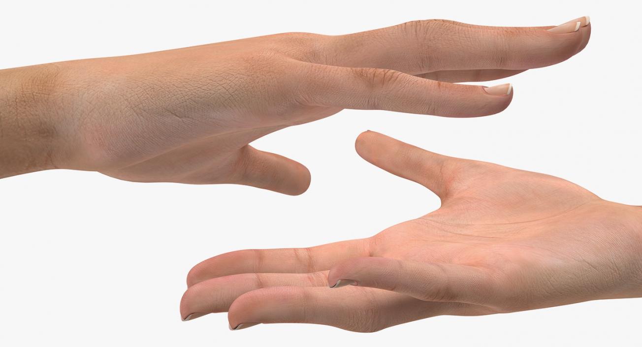 Australoid Female Hand 3D