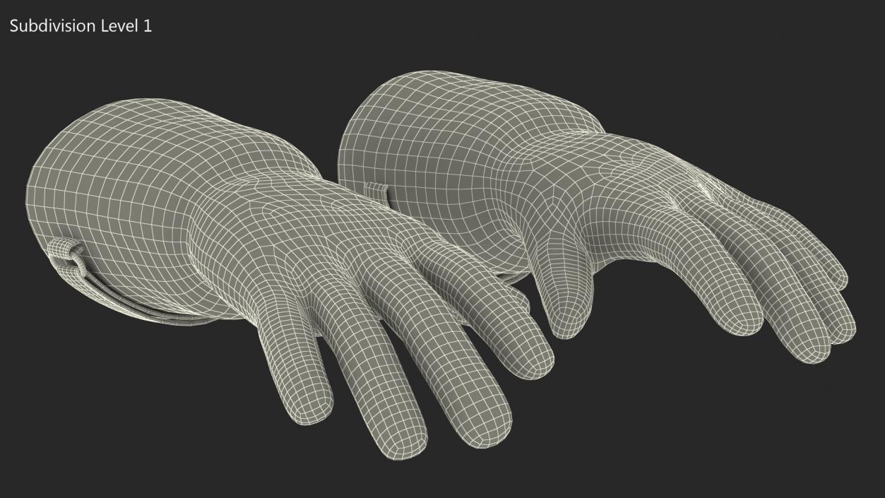 3D model Gloves