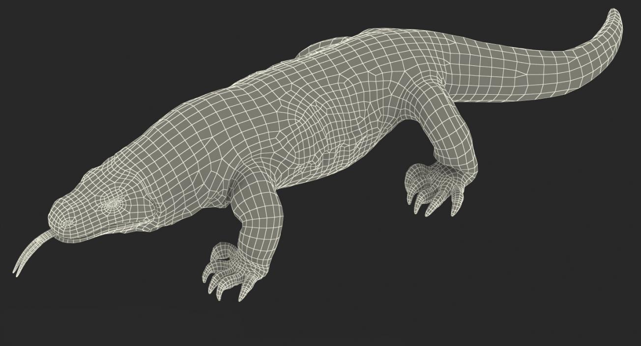 3D model Komodo Dragon Rigged