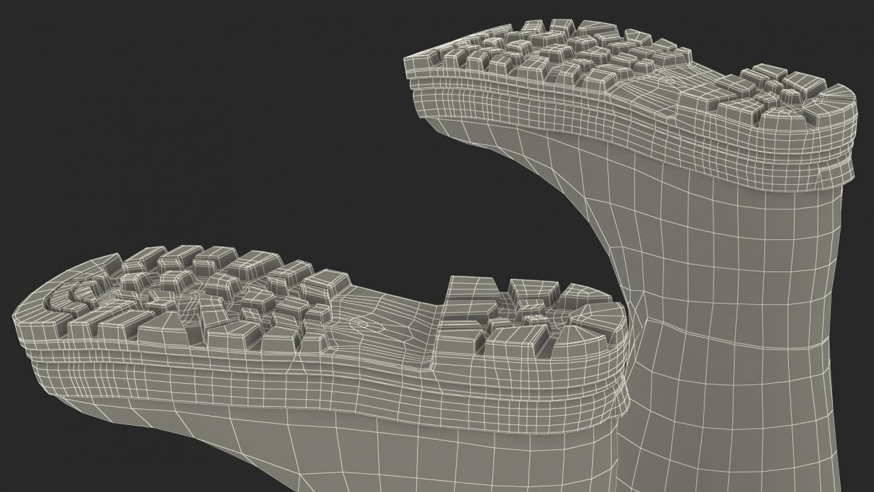 Rubber Boots for Duck Hunting 3D model