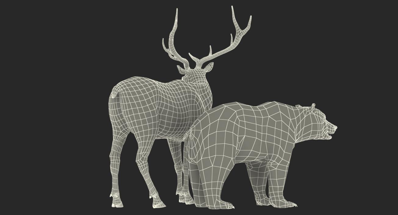 3D Bear and Elk Collection model