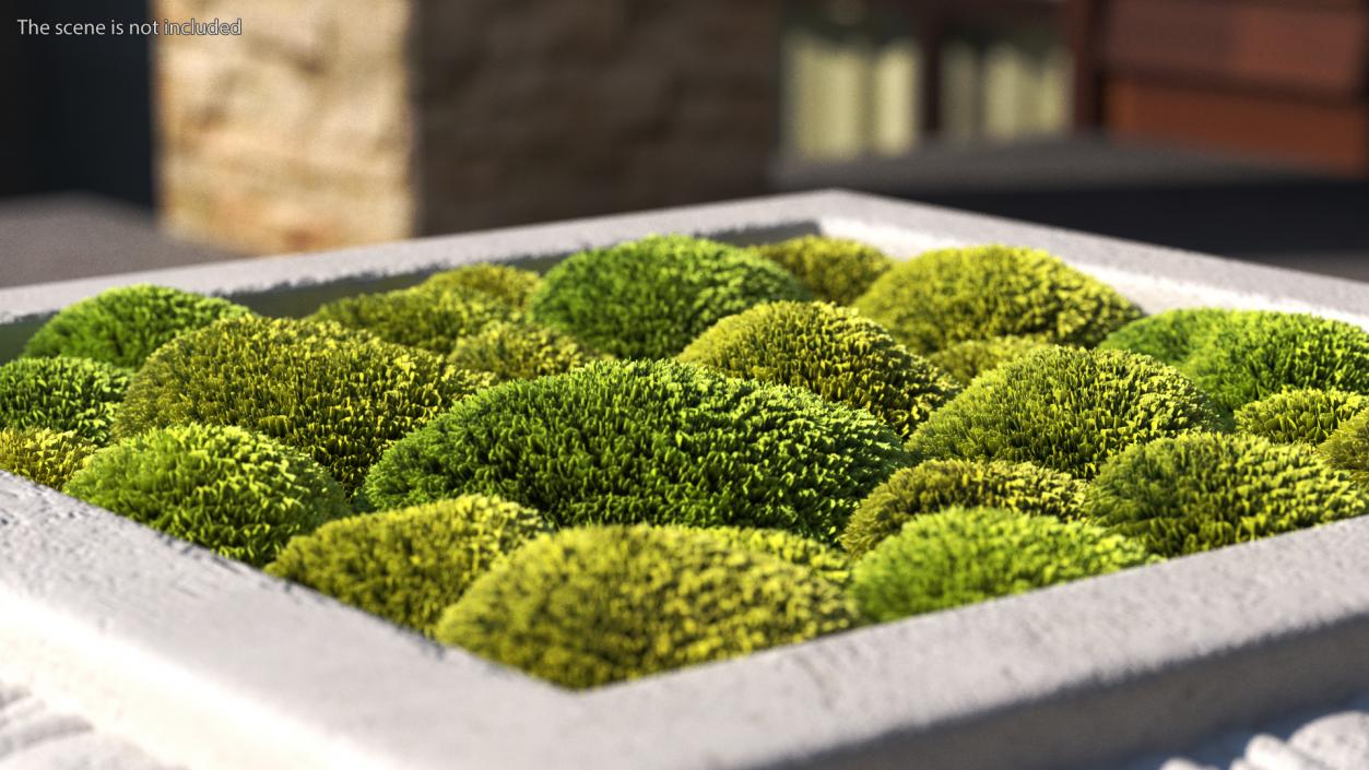 Planter Box With Moss Garden h50 3D