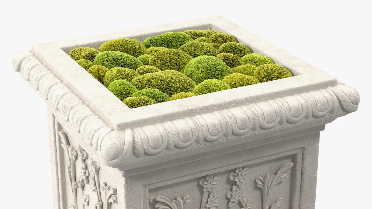 Planter Box With Moss Garden h50 3D
