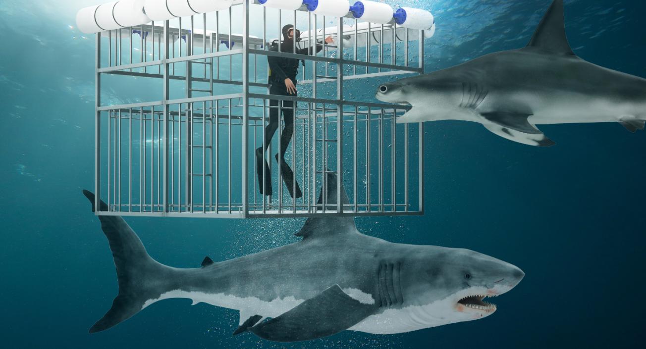 Shark Cage Diving Rigged 3D model