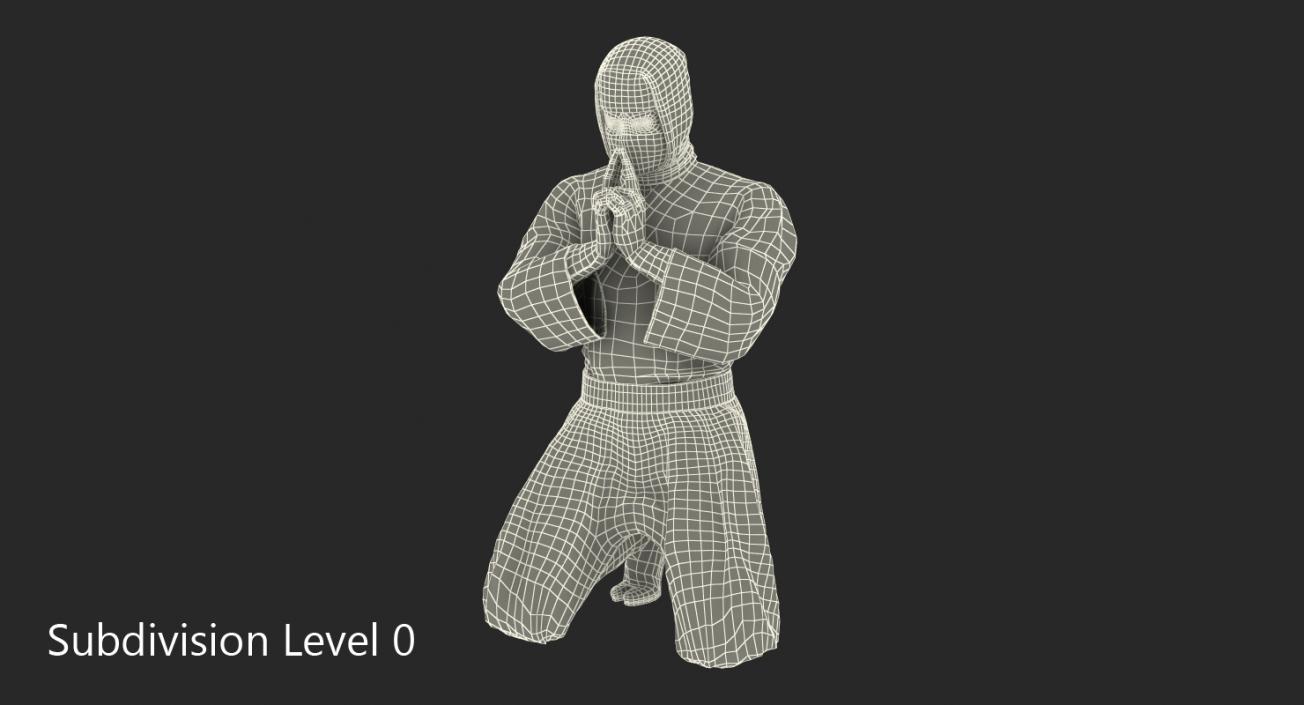 Ninja Rigged 3D