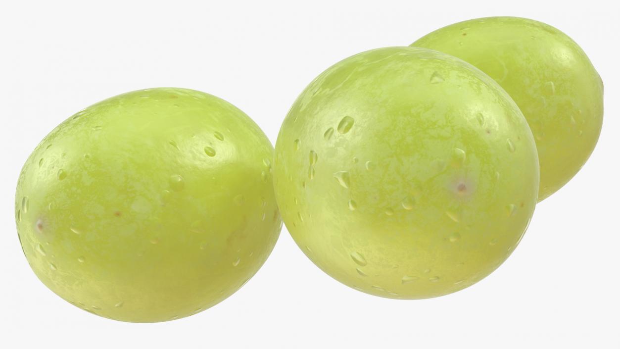 Green Grapes 3D