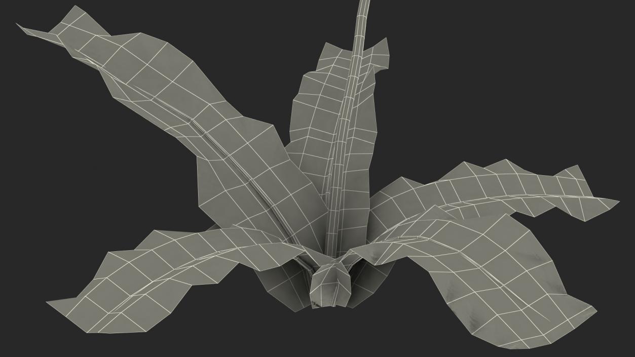 Ripe Dandelion Blowing by the Wind 3D model