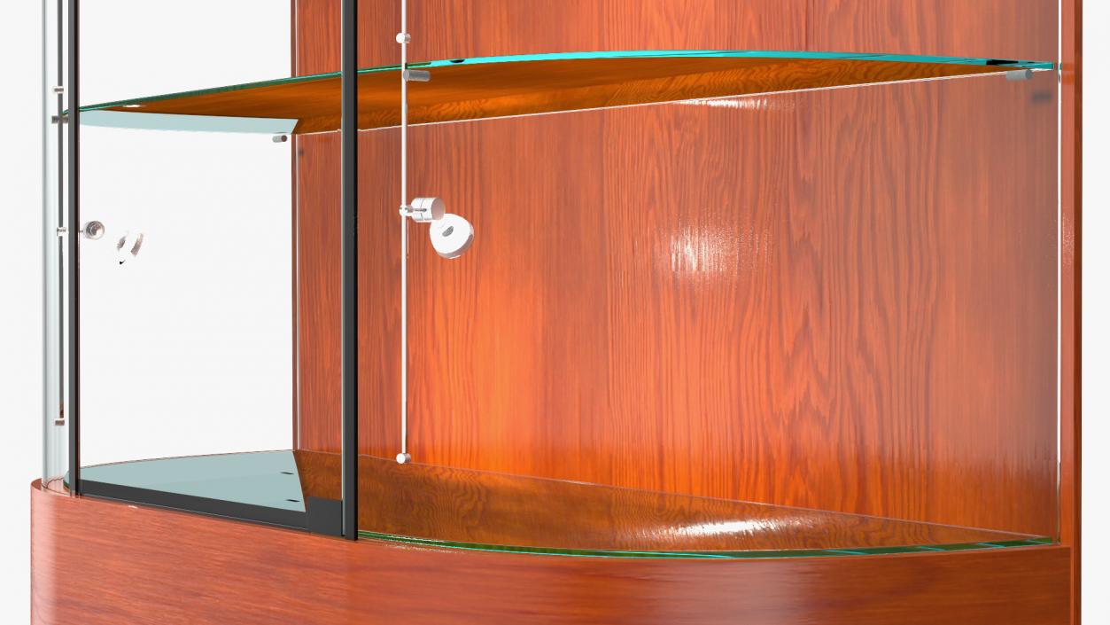 3D model Curved Wall Display Case Brown