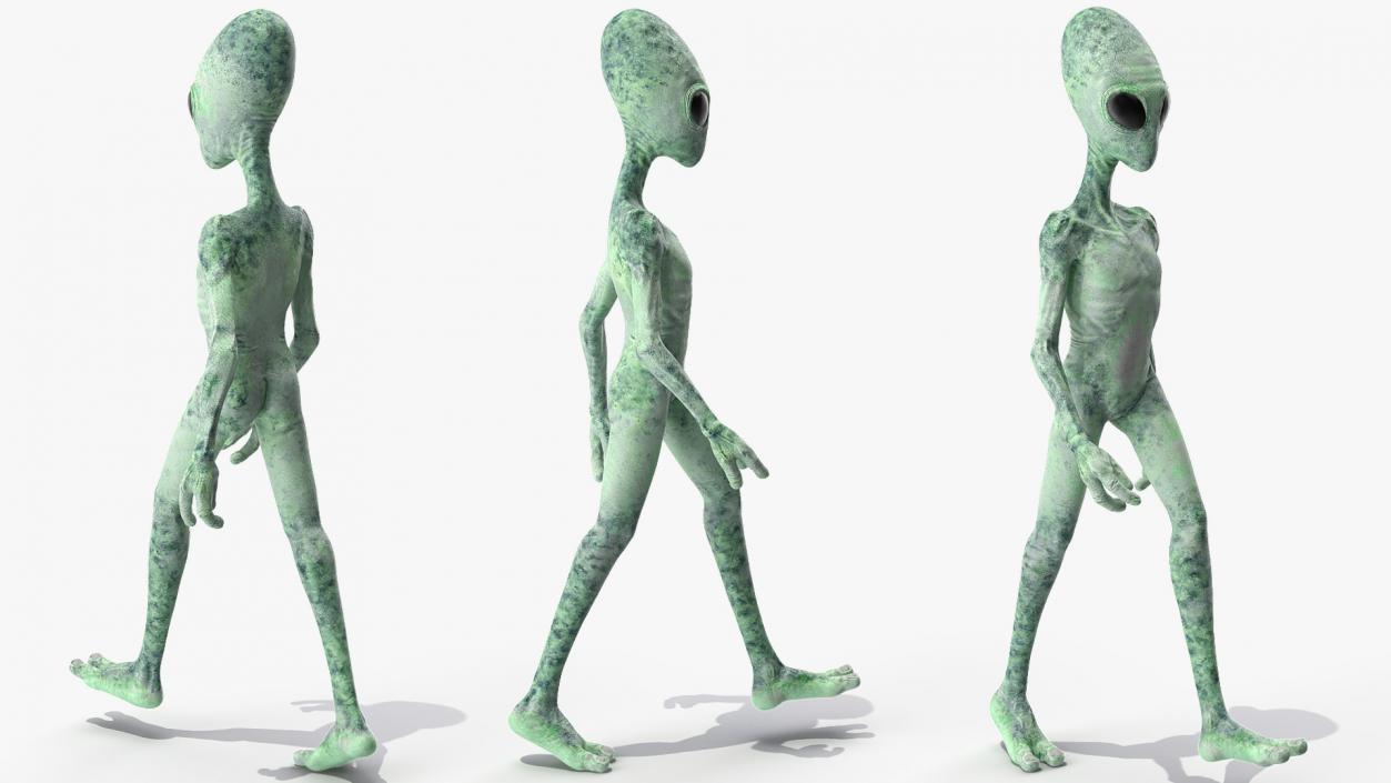 3D Green Alien Rigged model