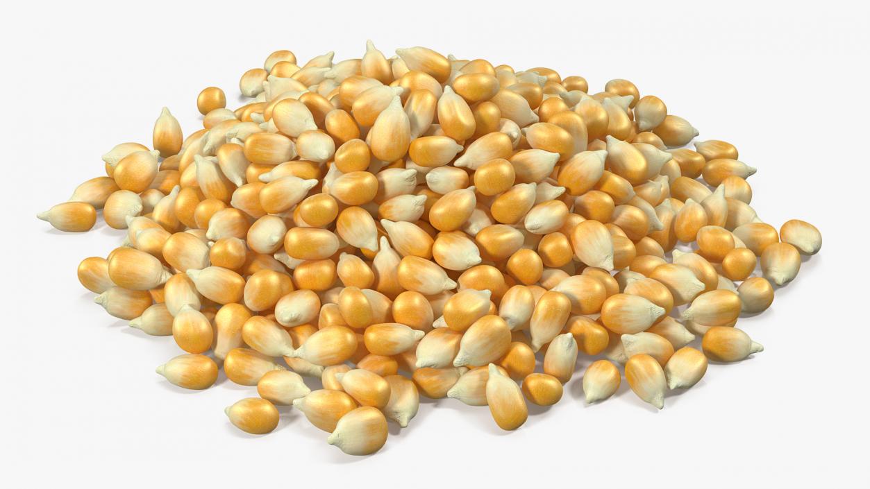 3D model Corn Seeds Pile