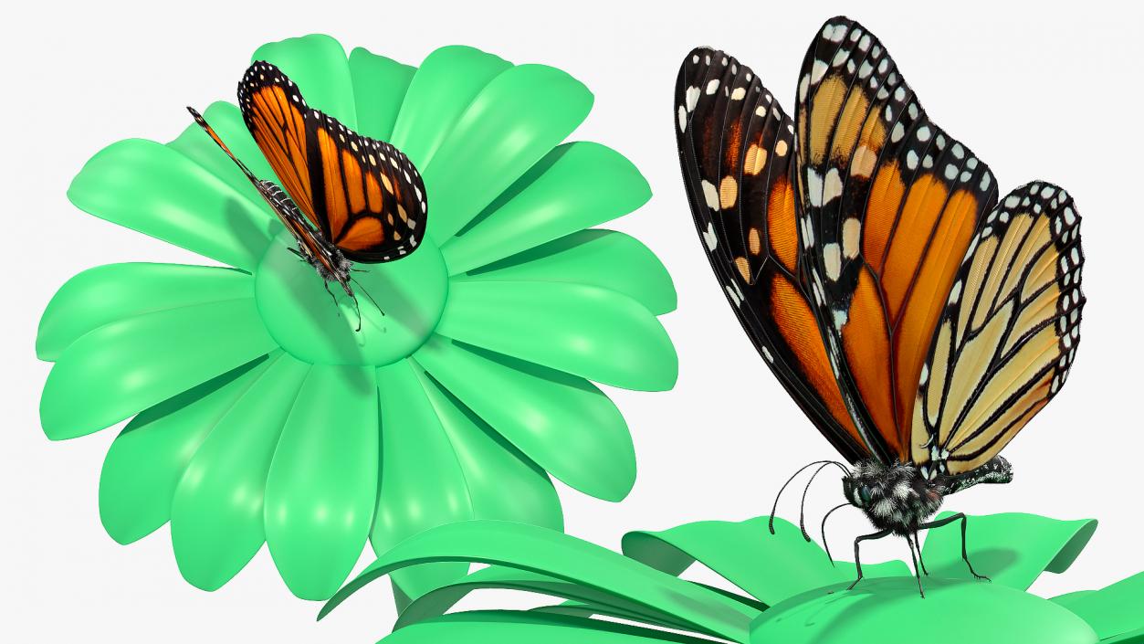 3D Animated Monarch Butterfly Collects Nectar Fur Rigged model