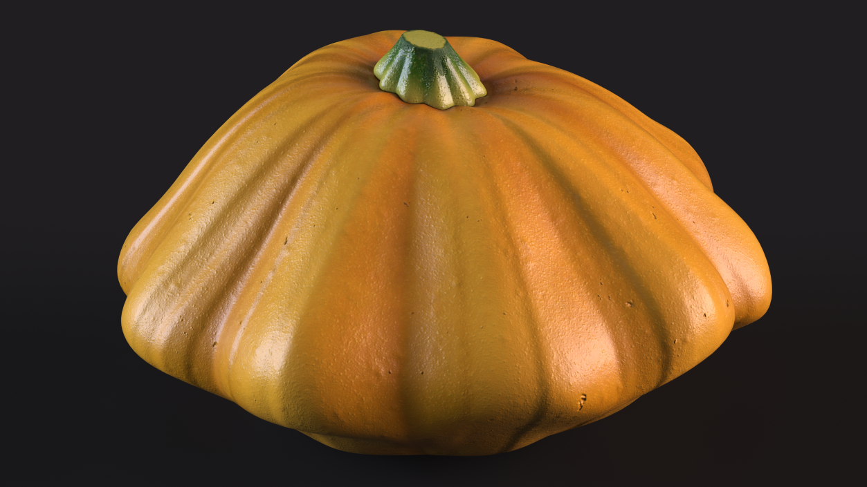 3D model Orange Color Bush Pumpkin