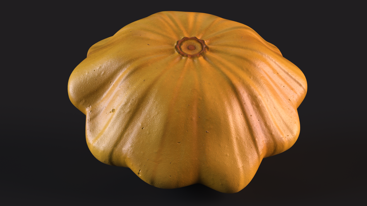 3D model Orange Color Bush Pumpkin