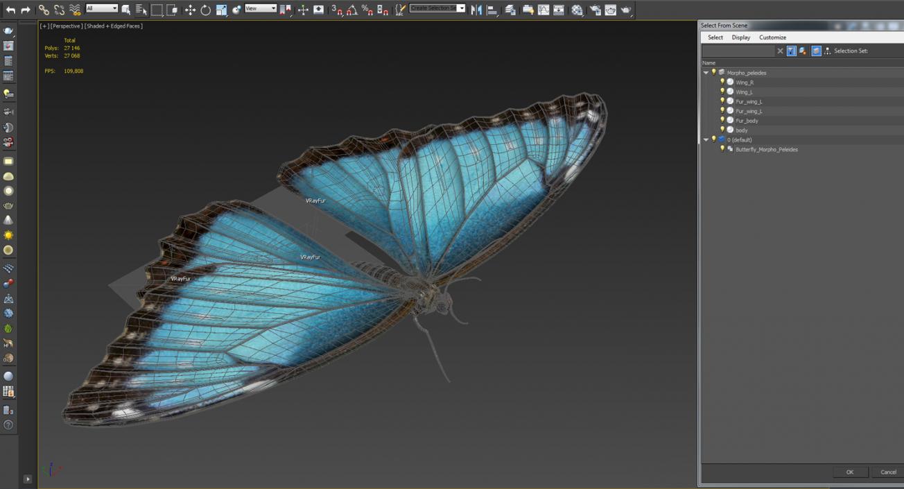 Butterfly Morpho Peleides with Fur 3D model