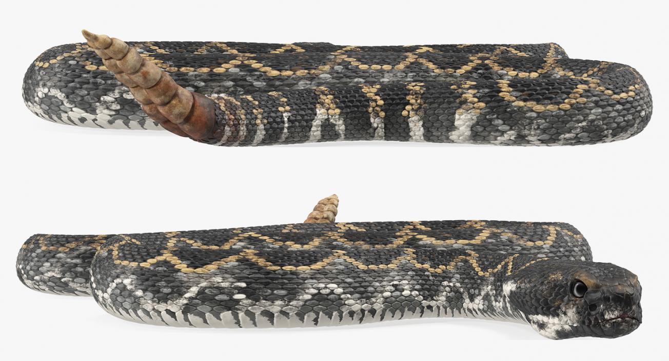 3D model Dark Rattlesnake Crawling Pose