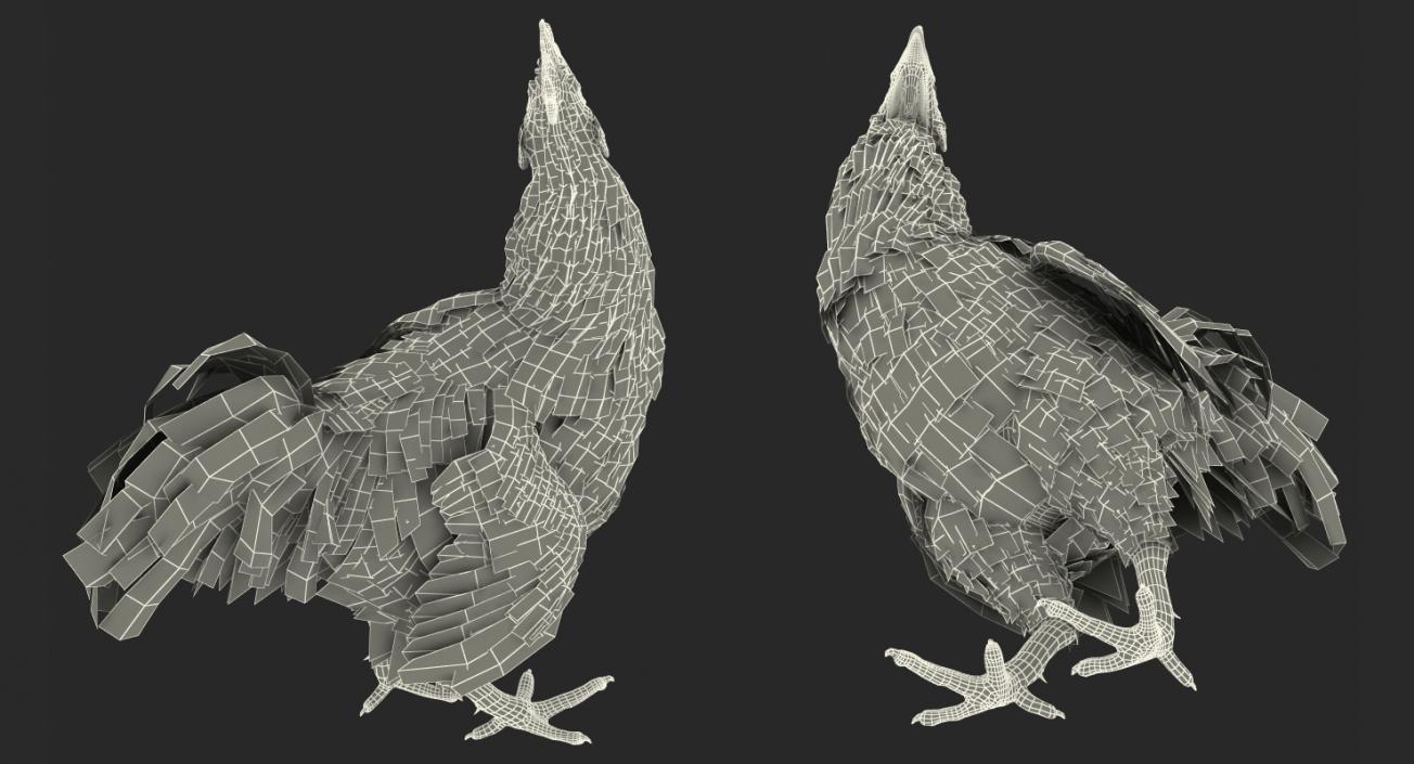 3D Brown Hen Standing model