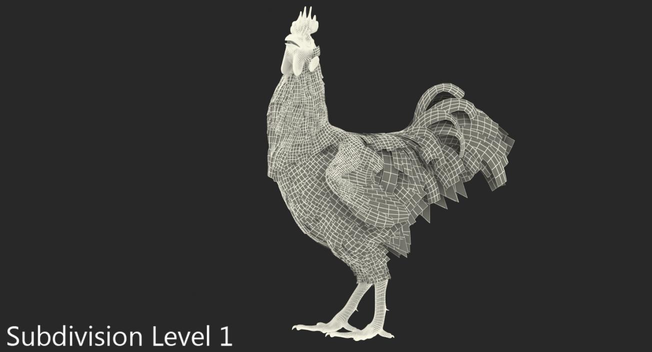 3D Brown Hen Standing model