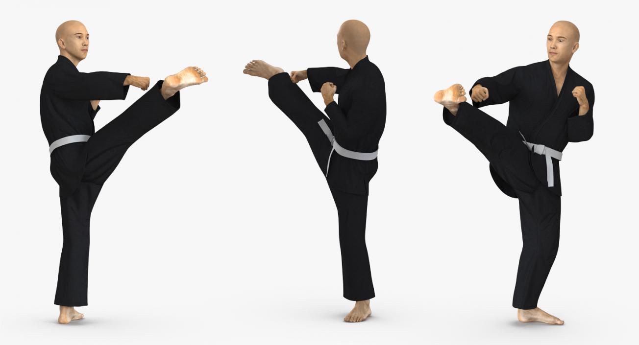 3D Japanese Karate Fighter Black Suit Rigged