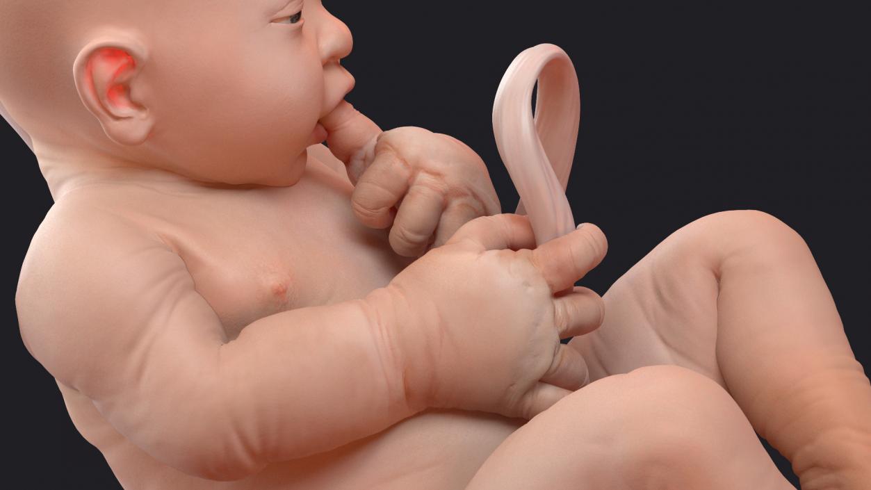 3D model Baby Boy at 38 Weeks